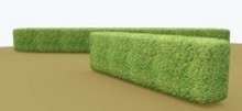 hedge_thumb