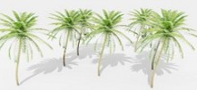 masktree2_thumb
