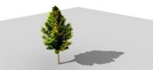 masktree_thumb