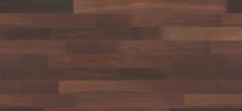 Cacao_preview_thumbnail
